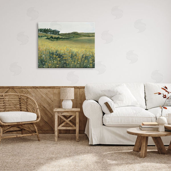 Stupell Industries Michael Willett | Rural Daisy Meadow Wall Art