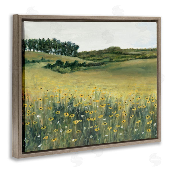 Stupell Industries Michael Willett | Rural Daisy Meadow Wall Art