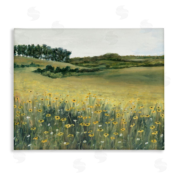 stupell industries Michael Willett | Rural Daisy Meadow Wall Art