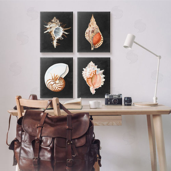 Stupell Industries Michael Willett | Sea Shell Clam Conch Collection Wall Art