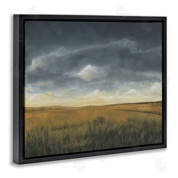 Stupell Industries Michael Willett | Stormy Meadow Clouds