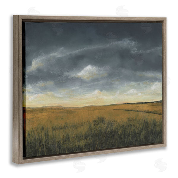 Stupell Industries Michael Willett | Stormy Meadow Clouds