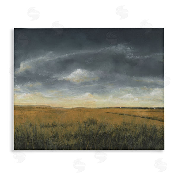 stupell industries Michael Willett | Stormy Meadow Clouds