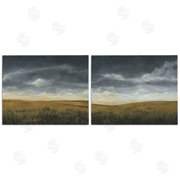 stupell industries Michael Willett | Stormy Meadow Landscape