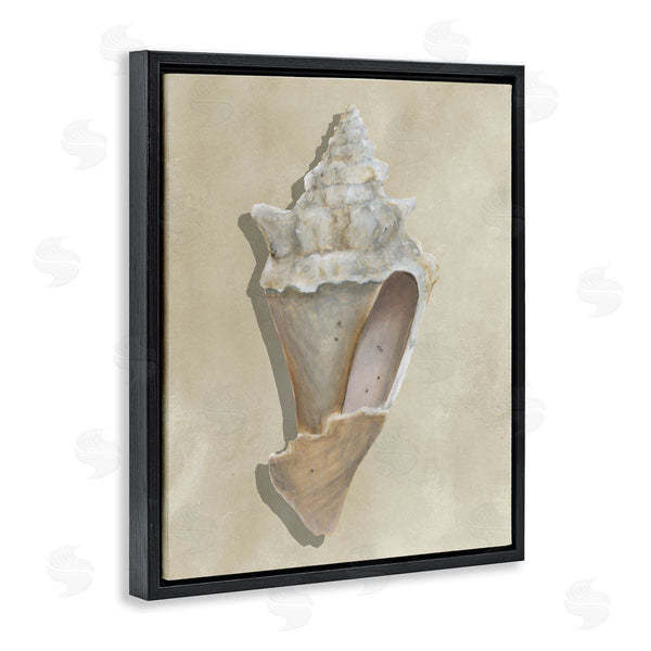 Stupell Industries Michael Willett | Tan Toned Conch Shell