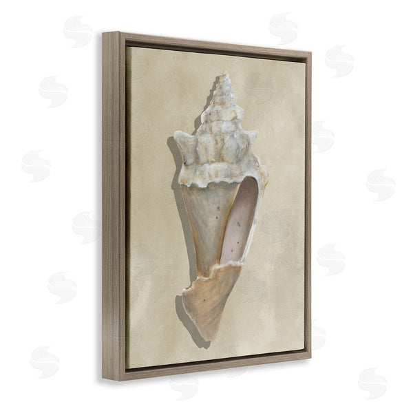Stupell Industries Michael Willett | Tan Toned Conch Shell