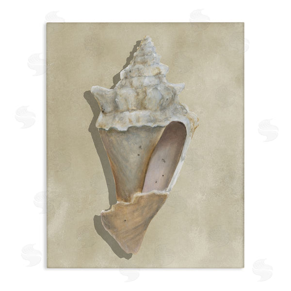 stupell industries Michael Willett | Tan Toned Conch Shell