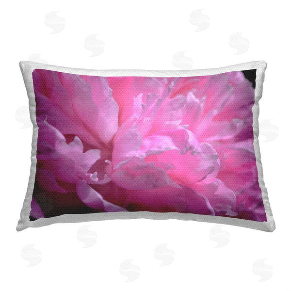 Stupell Industries Michelle Calkins | Pink Petals Close Up