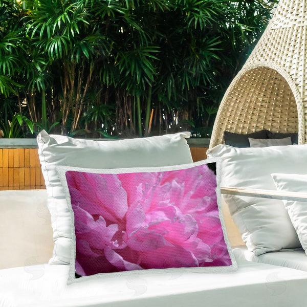Stupell Industries Michelle Calkins | Pink Petals Close Up