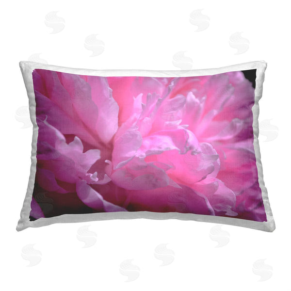 stupell industries Michelle Calkins | Pink Petals Close Up