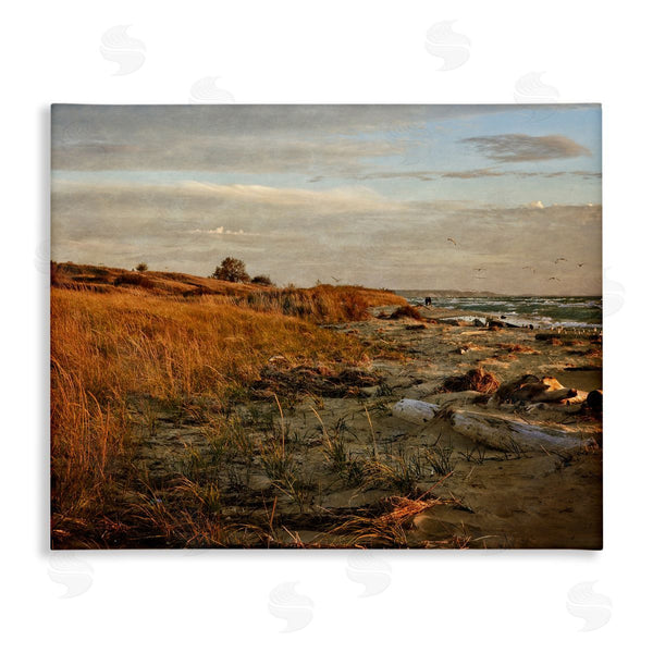 stupell industries Michelle Calkins | Seaside Reeds Coastal Scene Wall Art