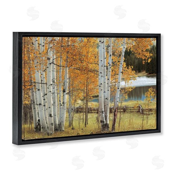 Stupell Industries Mike Jones | Autumnal Birch Beauty