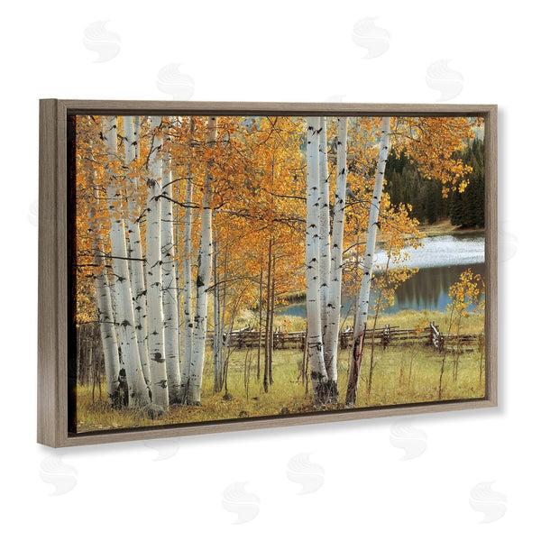 Stupell Industries Mike Jones | Autumnal Birch Beauty