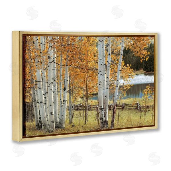 Stupell Industries Mike Jones | Autumnal Birch Beauty