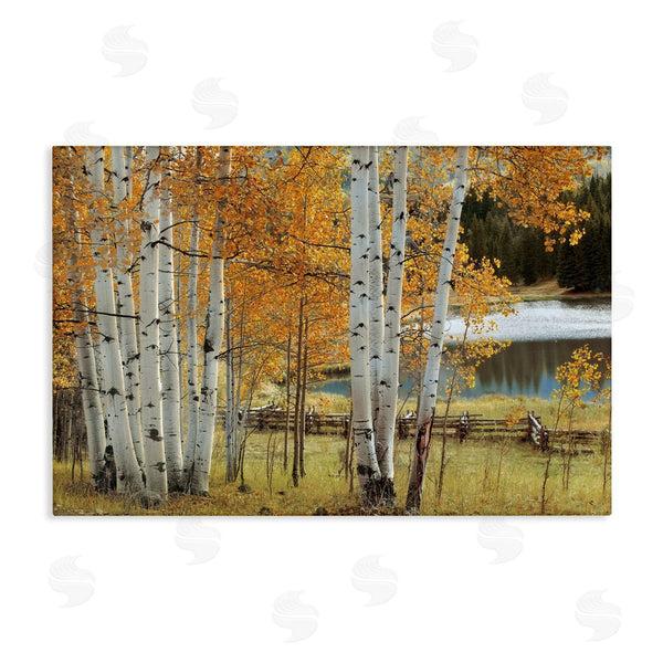 stupell industries Mike Jones | Autumnal Birch Beauty