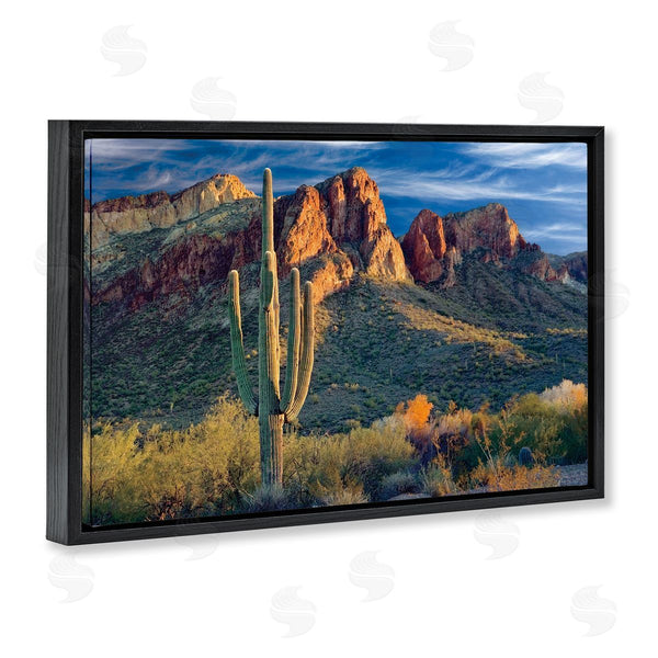 Stupell Industries Mike Jones | Found You Cactus In Canyon Wall Art