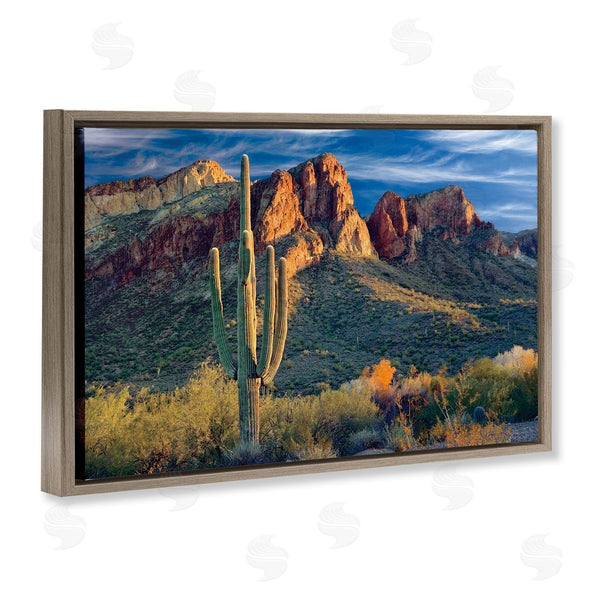 Stupell Industries Mike Jones | Found You Cactus In Canyon Wall Art