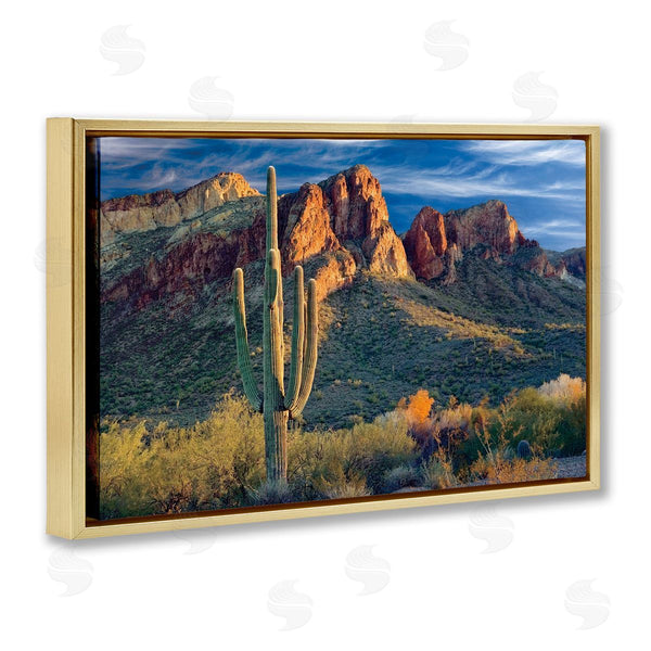 Stupell Industries Mike Jones | Found You Cactus In Canyon Wall Art