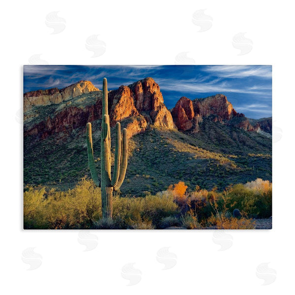 stupell industries Mike Jones | Found You Cactus in Canyon Wall Art