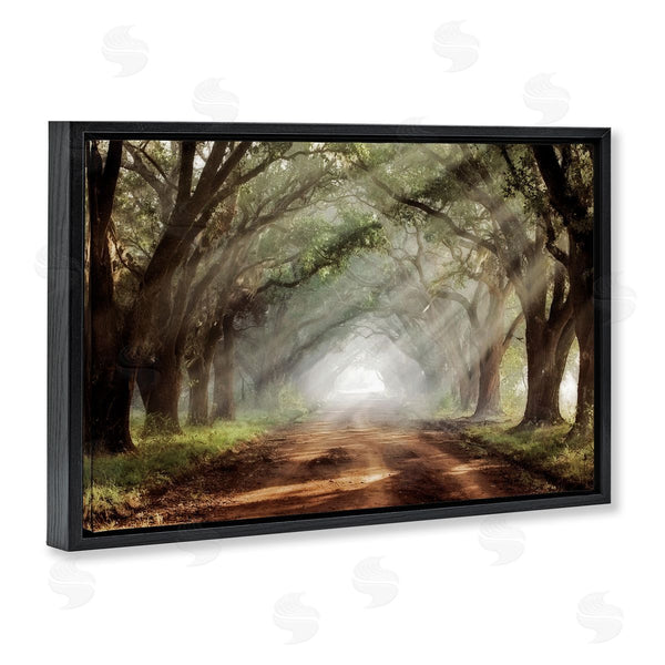 Stupell Industries Mike Jones | Sunlit Evergreen Grove