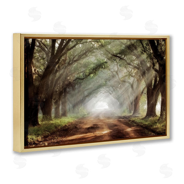 Stupell Industries Mike Jones | Sunlit Evergreen Grove