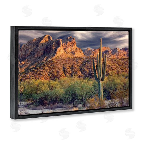Stupell Industries Mike Jones | Tall And Strong Cactus View Wall Art
