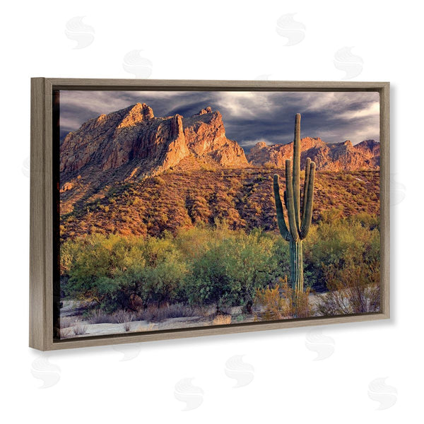 Stupell Industries Mike Jones | Tall And Strong Cactus View Wall Art