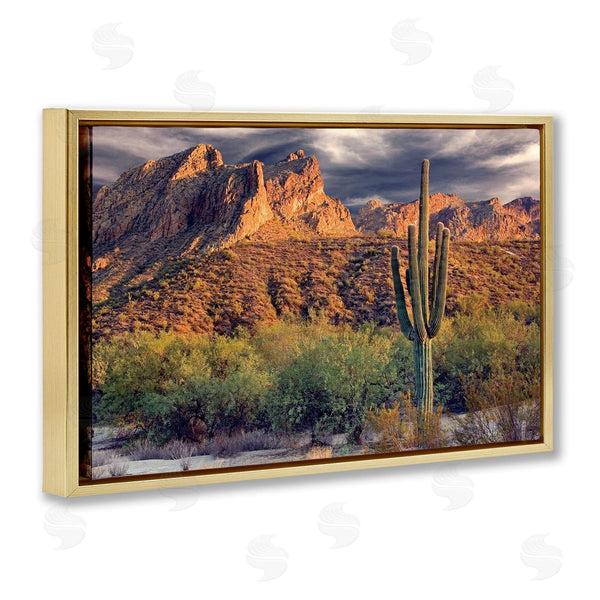 Stupell Industries Mike Jones | Tall And Strong Cactus View Wall Art