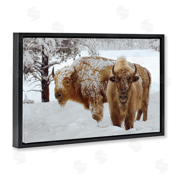 Stupell Industries Mike Jones | Winter White Bison Wall Art