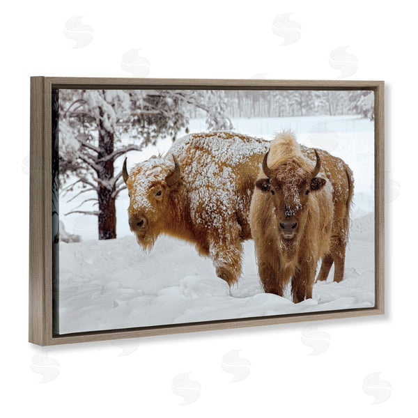 Stupell Industries Mike Jones | Winter White Bison Wall Art