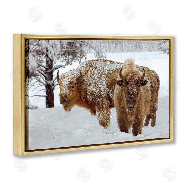 Stupell Industries Mike Jones | Winter White Bison Wall Art