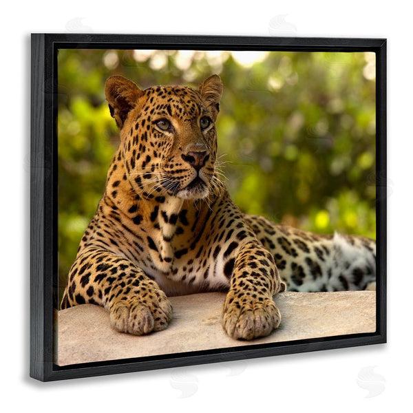 Stupell Industries MJ Photography | Leopard Gazing Relaxation Wall Art