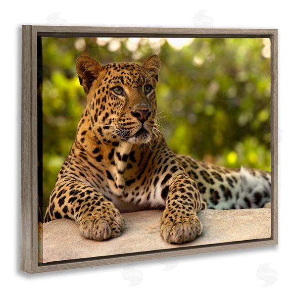 Stupell Industries MJ Photography | Leopard Gazing Relaxation Wall Art