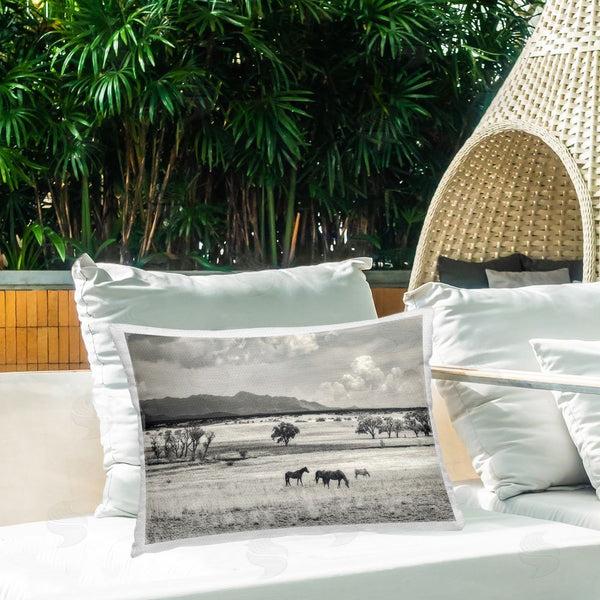 Stupell Industries Murray Bolesta | Horses Grazing Highland