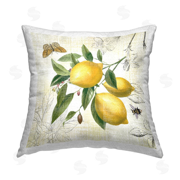 Stupell Industries Nan | Country Fruits & Insects Printed Throw Pillow