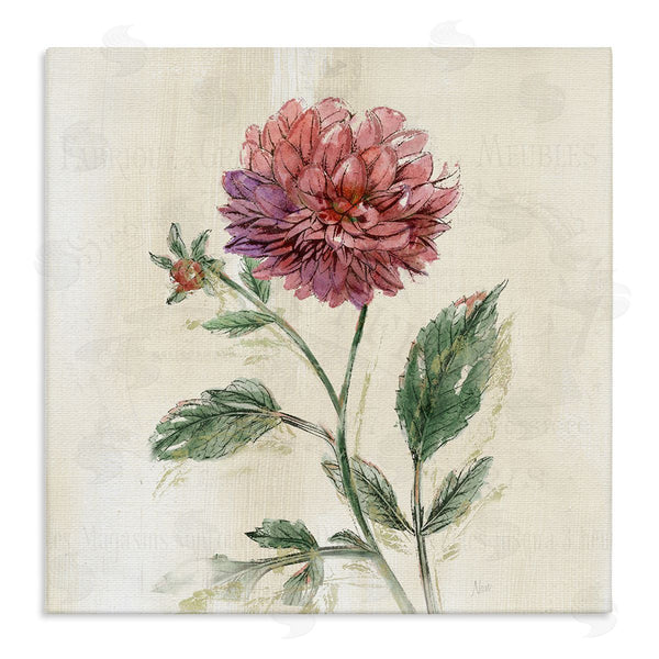 stupell industries Nan | Pink Traditional Dahlia Bulb