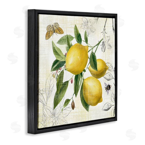 Stupell Industries Nan | Vintage Lemon Blossoms Wall Art