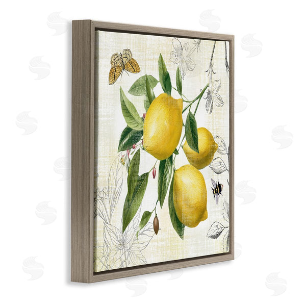 Stupell Industries Nan | Vintage Lemon Blossoms Wall Art