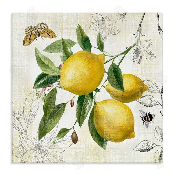 stupell industries Nan | Vintage Lemon Blossoms Wall Art