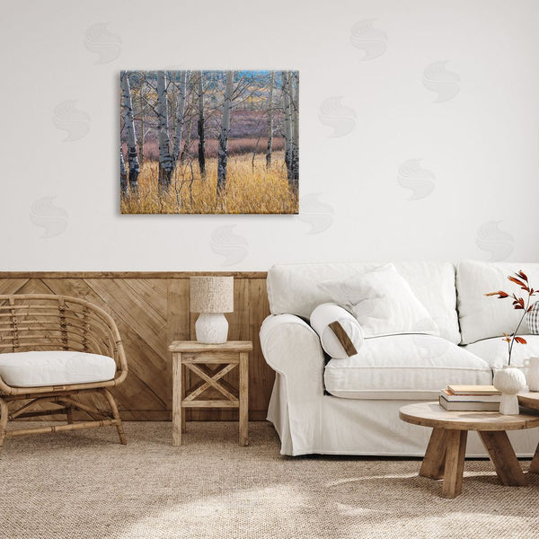 Stupell Industries Nancy Crowell | Birch Trees Photography Wall Art