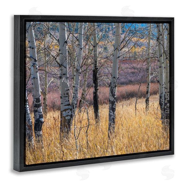 Stupell Industries Nancy Crowell | Birch Trees Photography Wall Art