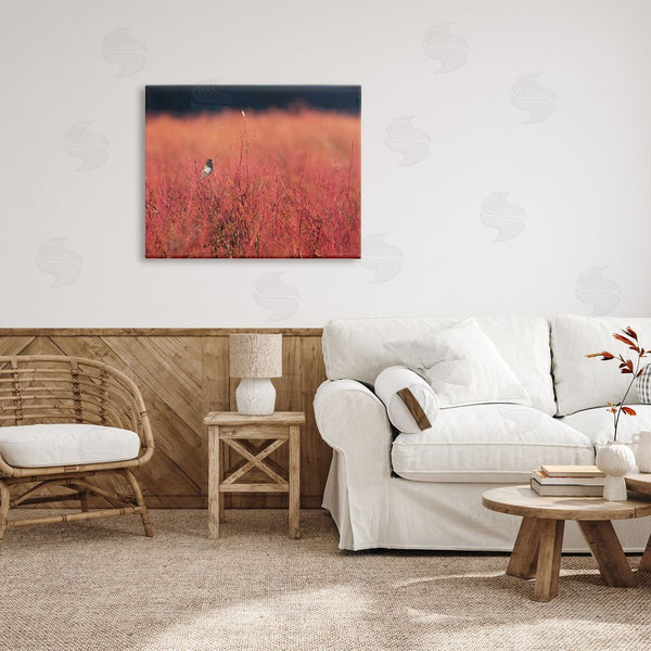 Stupell Industries Nancy Crowell | Bird In Red Field Wall Art