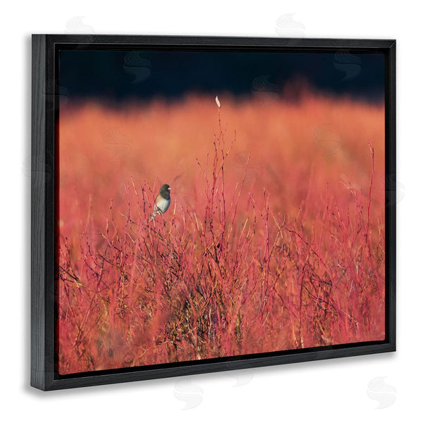 Stupell Industries Nancy Crowell | Bird In Red Field Wall Art