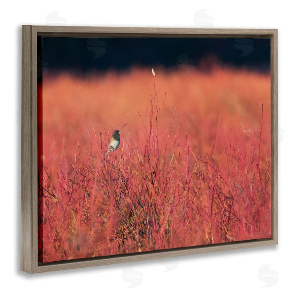 Stupell Industries Nancy Crowell | Bird In Red Field Wall Art