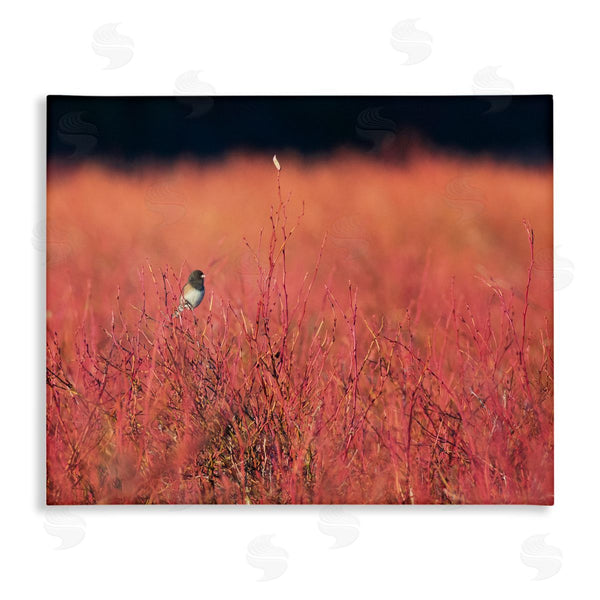 stupell industries Nancy Crowell | Bird in Red Field Wall Art
