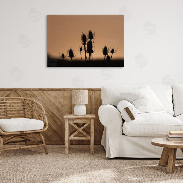 Stupell Industries Nancy Crowell | Botanical Sprigs Silhouettes Wall Art