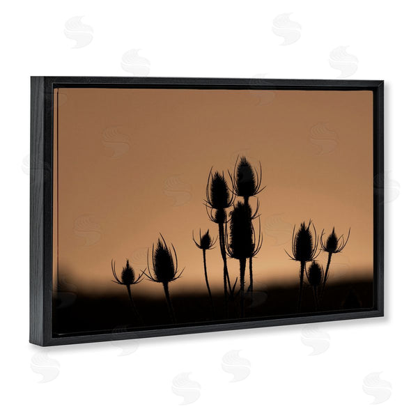 Stupell Industries Nancy Crowell | Botanical Sprigs Silhouettes Wall Art