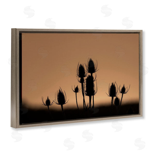Stupell Industries Nancy Crowell | Botanical Sprigs Silhouettes Wall Art