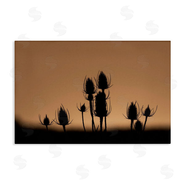 stupell industries Nancy Crowell | Botanical Sprigs Silhouettes Wall Art