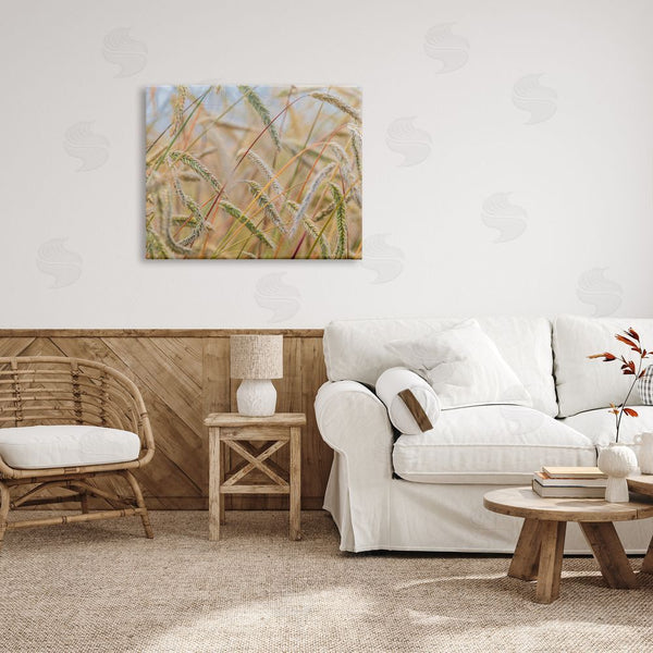 Stupell Industries Nancy Crowell | Country Wheat Photography Wall Art